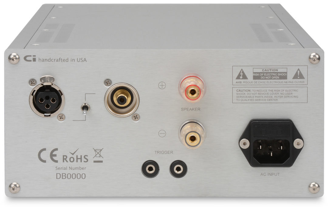 D•500 MKII Class D Monoblock Amplifiers (Pair) CI Audio